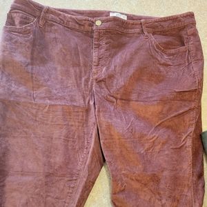Loft mauve corduroy pants Size 24